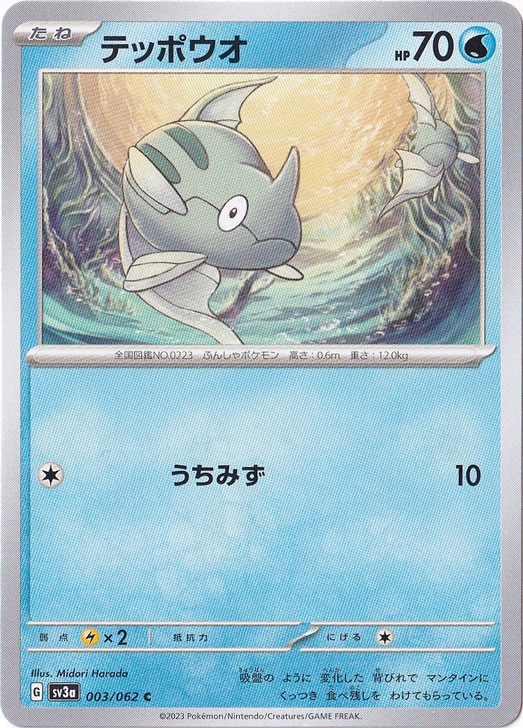 テッポウオ C 003/062