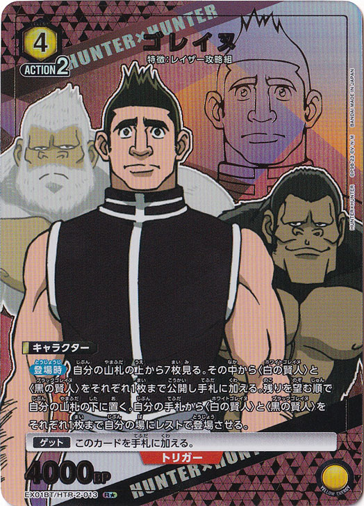 ゴレイヌ R★ HTR-2-0141