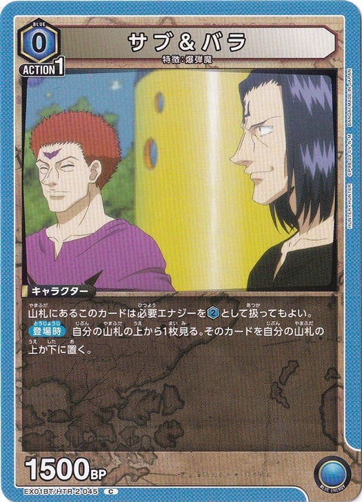 サブ＆バラ C HTR-2-045