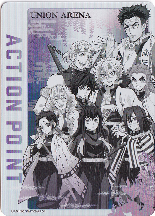 ACTION POINT SP KMY-2-AP01