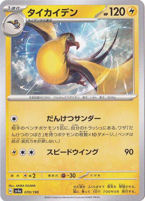 タイカイデン 070/190