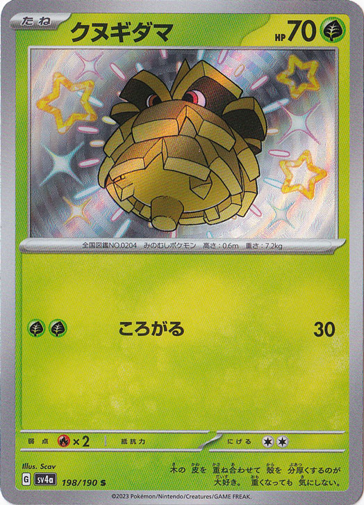 クヌギダマ S 198/190