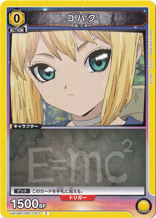 コハク C DST-1-017