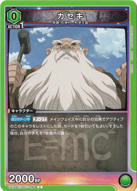 カセキ U DST-1-081