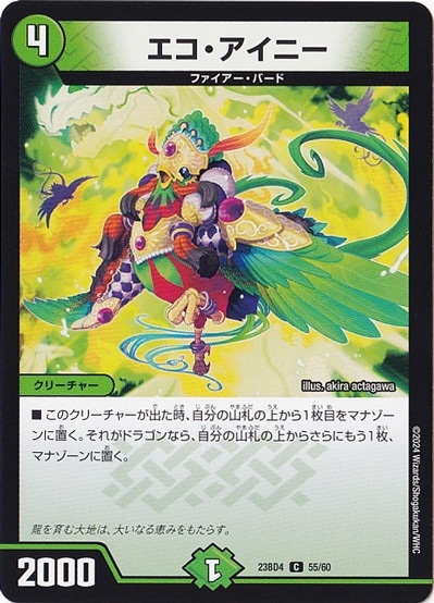 エコ・アイニー C  55/60