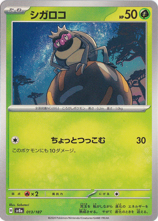 シガロコ 