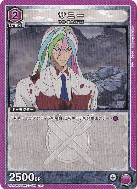 サニー U TRK-1-076