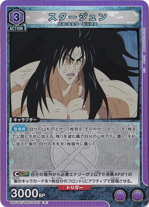 ☆特価中☆スタージュン R TRK-1-087