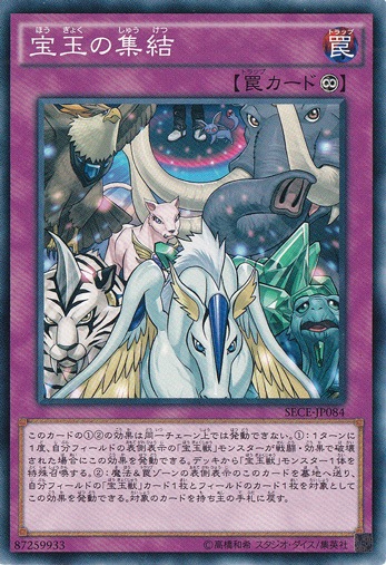 【プレイ用】宝玉の集結 SECE-JP084