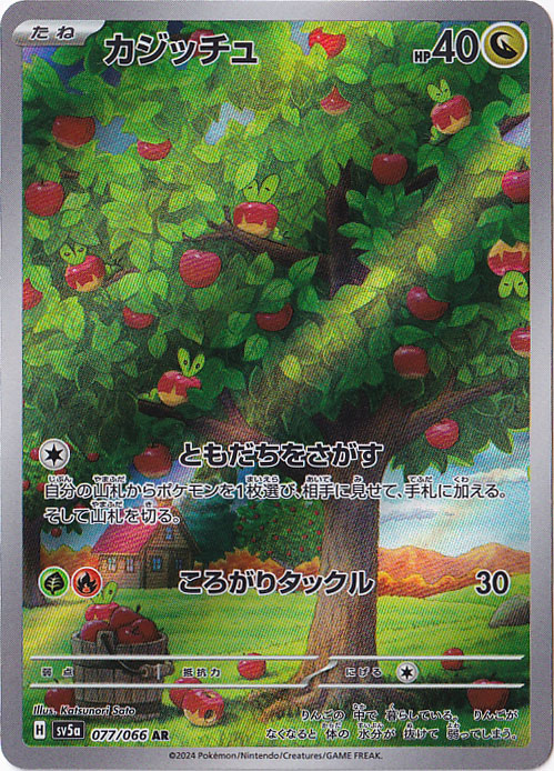 カジッチュ AR 077/066