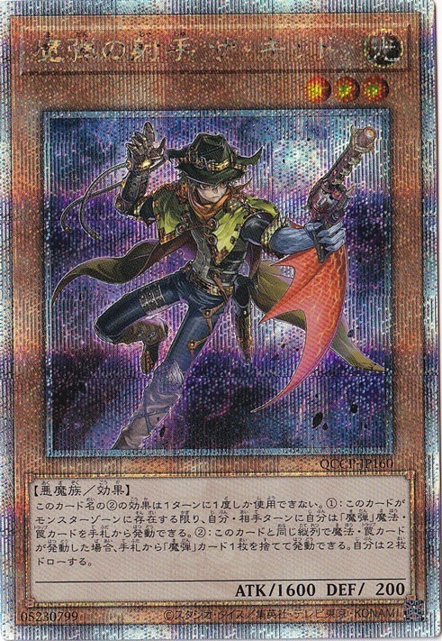 遊戯王レアカードコレクション【プレイ用】