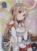  U UAPR/SAO-1-036