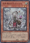 򤭿Υơ ڥѡ INFO-JP013