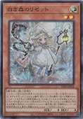 򤭿Υꥼå ڥѡ INFO-JP014