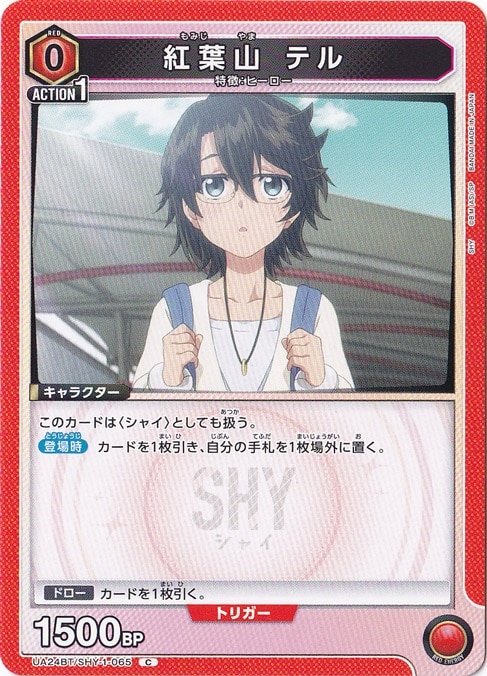 紅葉山 テル C SHY-1-065