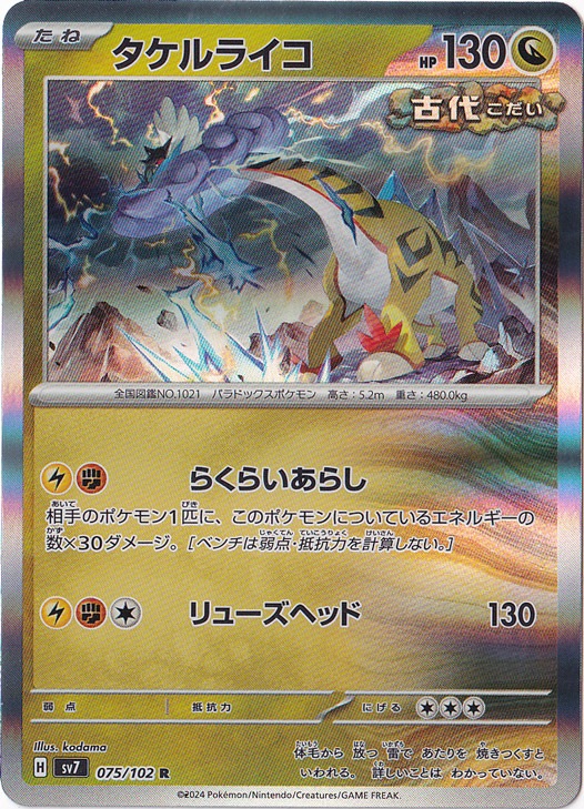 タケルライコ R 075/102