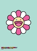 Murakami.Flowersȥ쥫꡼  ־дνλҡץեver.