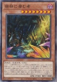 ̩Ӥ ڥΡޥ WPP5-JP044