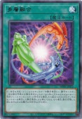¿ͻ ڥ쥢 WPP5-JP072