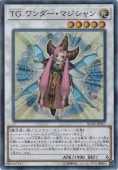 ڥץ쥤ѡTG ޥ ڥѡ RC02-JP027