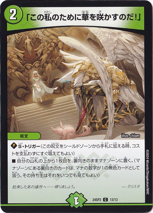 ｢この私のために華を咲かせるのだ!｣ C 13/13