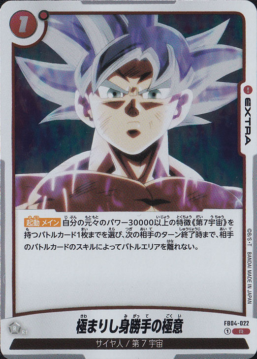 極まりし身勝手の極意 R FB04-022