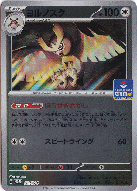 ヨルノズク 173/SV-P