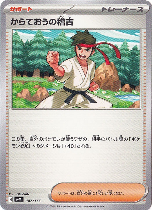 からておうの稽古 147/175