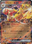 Х㡼ex 016/175