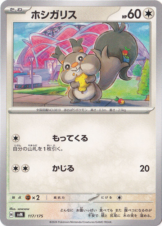 ホシガリス 117/175