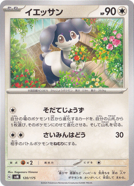 イエッサン 120/175