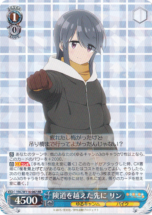 険道を越えた先に リン 【YRC】 W116-067 RR