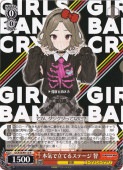 本気で立てるステージ 智 GCR/SE48-13SP 3枚セット 本気で立てるステージ 智 【GCR】 SE48-13GBC GBCR｜ヴァイス
