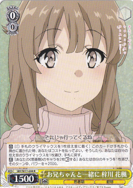 ⭐️ヴァイス PSA10 私達目線の今ガチ ユーチューバー ぴえヨン