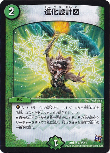 （傷あり）進化設計図 25/71