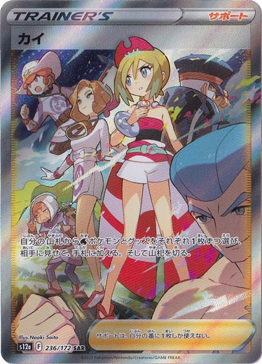 【プレイ用】カイ SAR 236/172