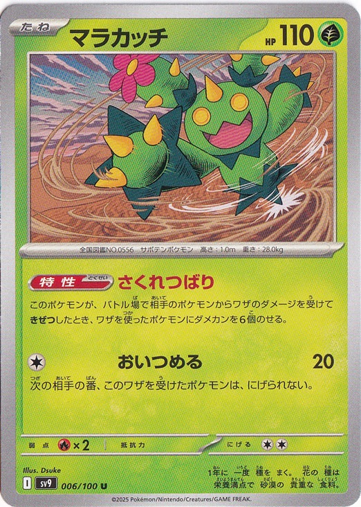 マラカッチ U 006/100