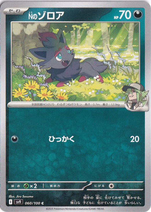 Nのゾロア C 060/100