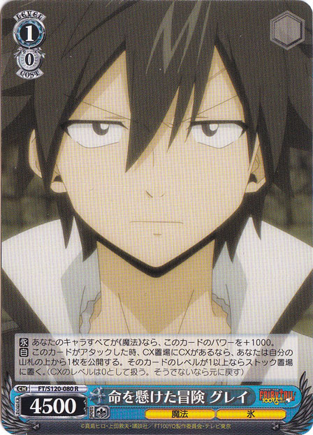 命を懸けた冒険 グレイ 【FT】 S120-080 R