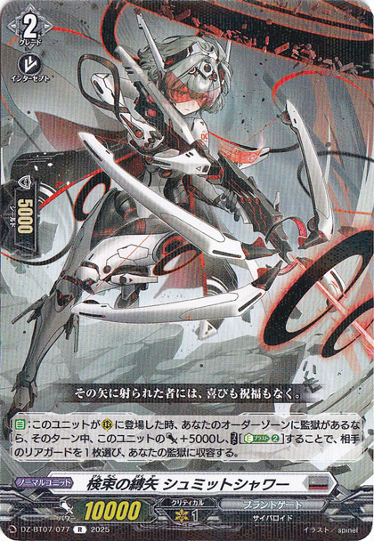 検束の縛矢 シュミットシャワー　DZ-BT07/077　R