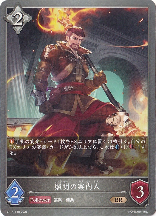 照明の案内人 BR BP14-118