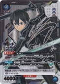 ڥץ쥤ѡۥ SR SAO-1-041