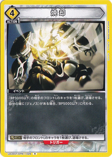 焼却 R OPM-1-029 ST