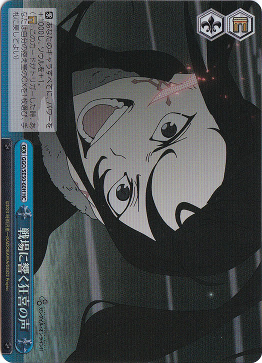 戦場に響く狂喜の声 ［GGO］ SE50-60H HC