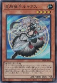 ä륭 ڥѡ DBJH-JP001