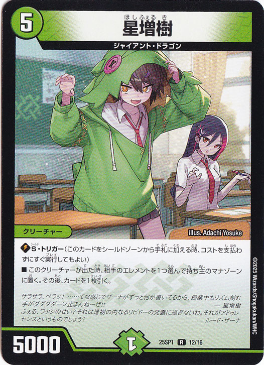 ☆特価中☆　星増樹 ［25SP1］ R 12/16