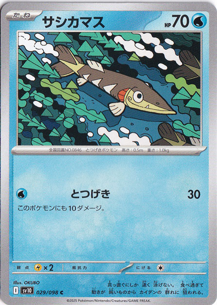 サシカマス C 029/098