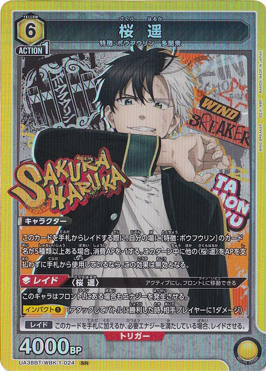 桜 遥 SR WBK-1-024