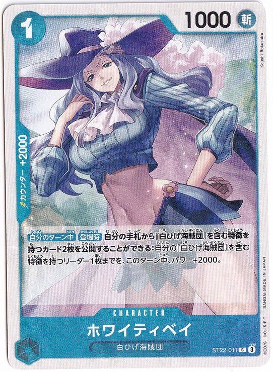 ホワイティベイ C ST22-011