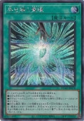 ʤƷ ڥåȡ DUAD-JP070